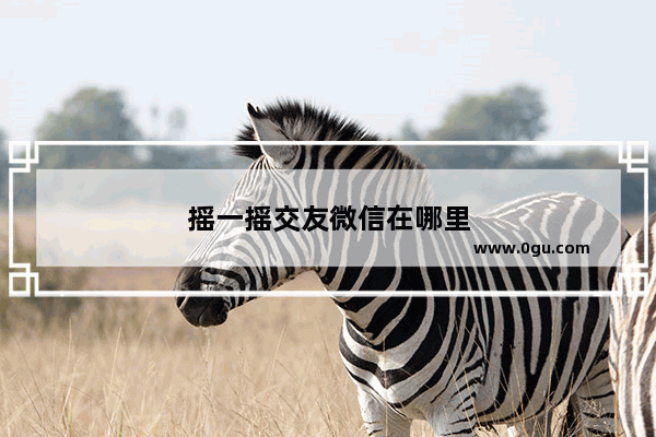 摇一摇交友微信在哪里