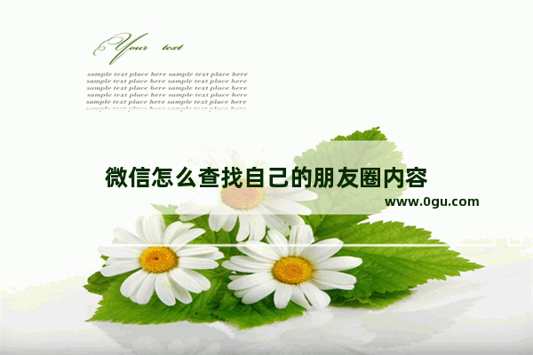 微信怎么查找自己的朋友圈内容