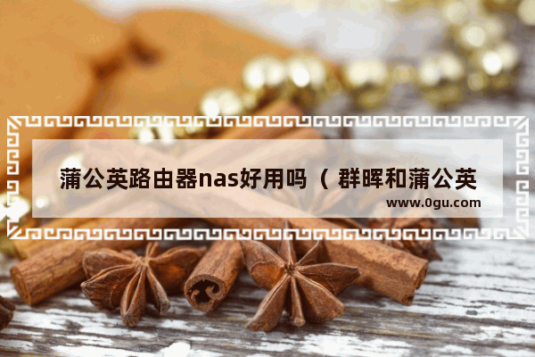 蒲公英路由器nas好用吗（ 群晖和蒲公英的结合）