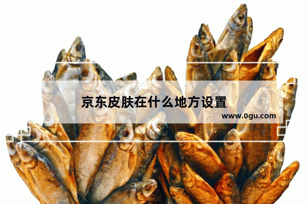 京东皮肤在什么地方设置