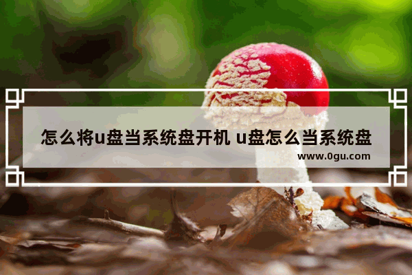 怎么将u盘当系统盘开机 u盘怎么当系统盘用