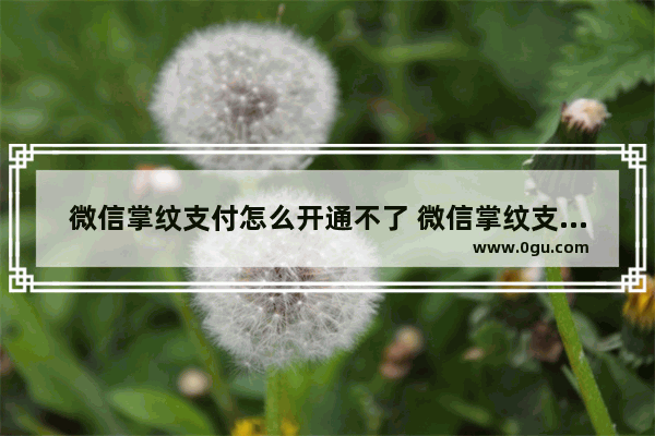 微信掌纹支付怎么开通不了 微信掌纹支付开通方法