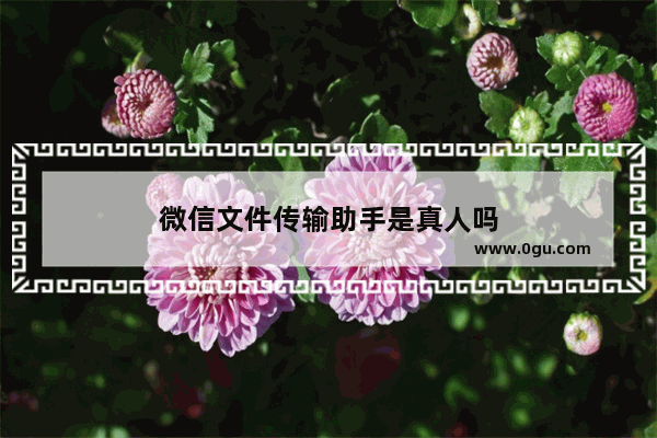 微信文件传输助手是真人吗