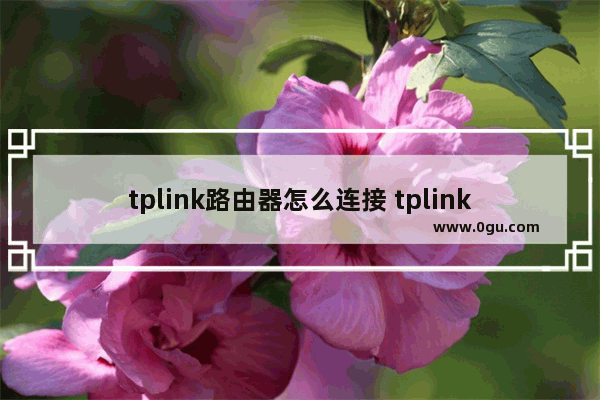 tplink路由器怎么连接 tplink路由器连接方法【详细步骤】