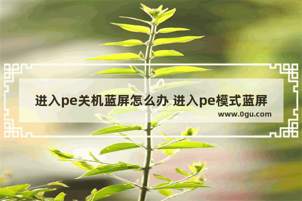 进入pe关机蓝屏怎么办 进入pe模式蓝屏怎么办