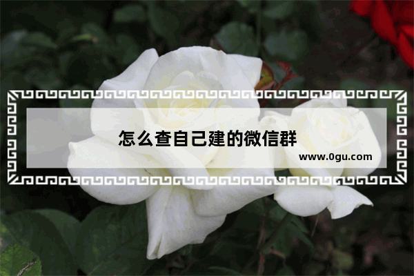 怎么查自己建的微信群