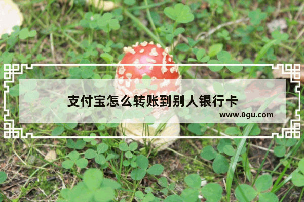 支付宝怎么转账到别人银行卡
