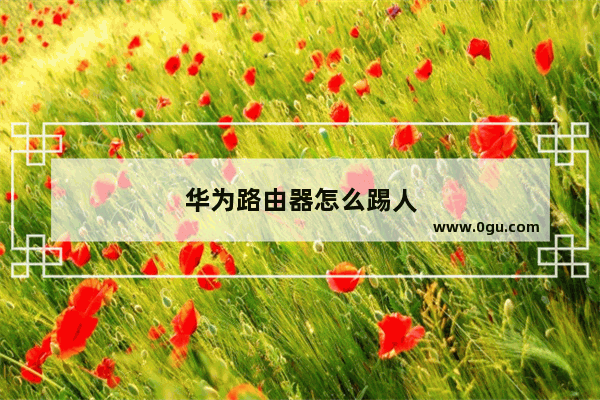 华为路由器怎么踢人
