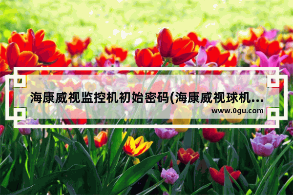 海康威视监控机初始密码(海康威视球机摄像头初始密码)
