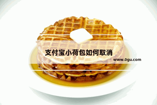 支付宝小荷包如何取消