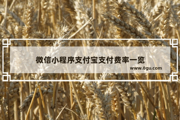 微信小程序支付宝支付费率一览