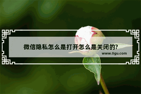 微信隐私怎么是打开怎么是关闭的?