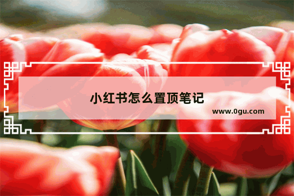 小红书怎么置顶笔记