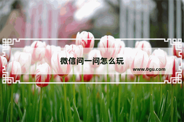 微信问一问怎么玩