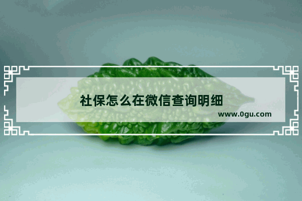 社保怎么在微信查询明细