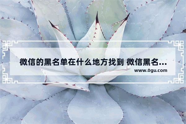 微信的黑名单在什么地方找到 微信黑名单查看方法