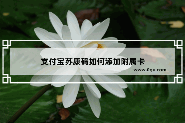 支付宝苏康码如何添加附属卡