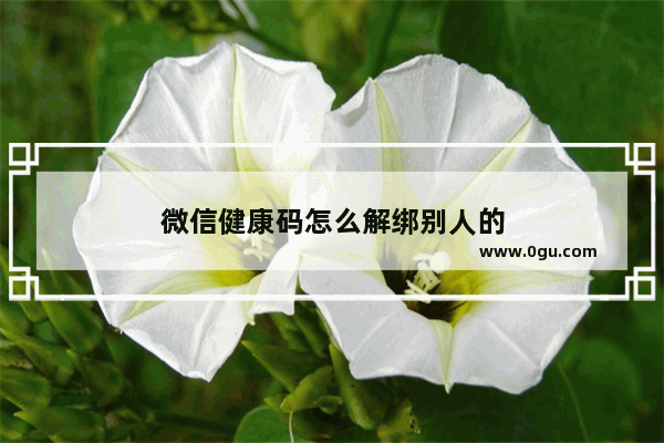微信健康码怎么解绑别人的
