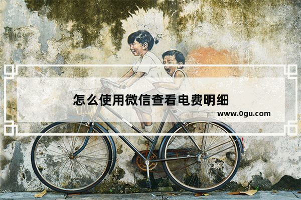 怎么使用微信查看电费明细