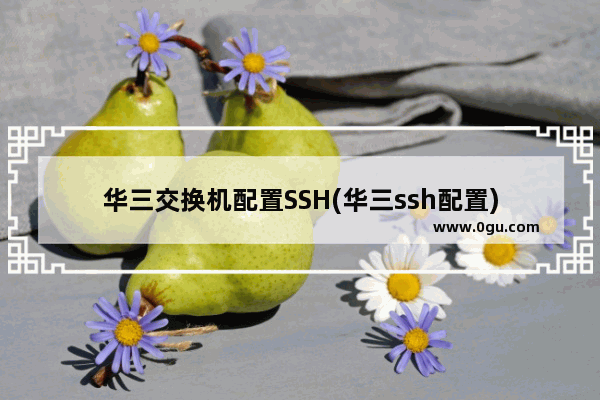 华三交换机配置SSH(华三ssh配置)