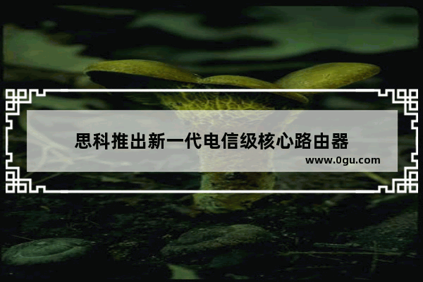 思科推出新一代电信级核心路由器