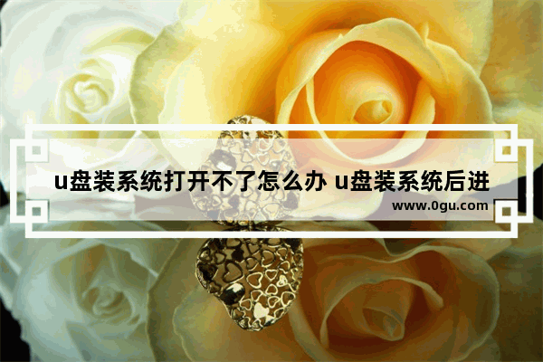 u盘装系统打开不了怎么办 u盘装系统后进不了系统