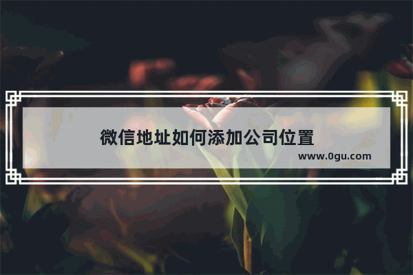 微信地址如何添加公司位置