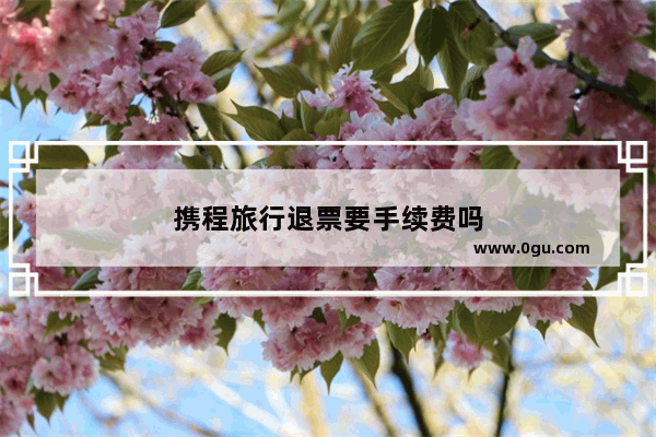 携程旅行退票要手续费吗