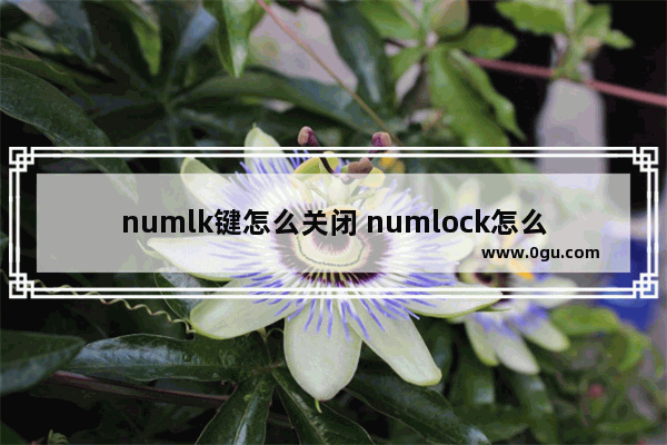 numlk键怎么关闭 numlock怎么取消