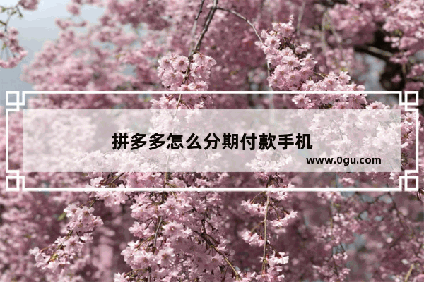 拼多多怎么分期付款手机