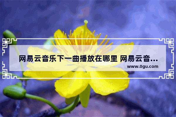 网易云音乐下一曲播放在哪里 网易云音乐下一曲播放设置教程