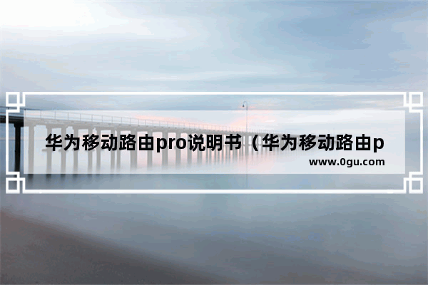 华为移动路由pro说明书（华为移动路由pro和随身wifi3哪个好）