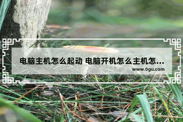 电脑主机怎么起动 电脑开机怎么主机怎么开机