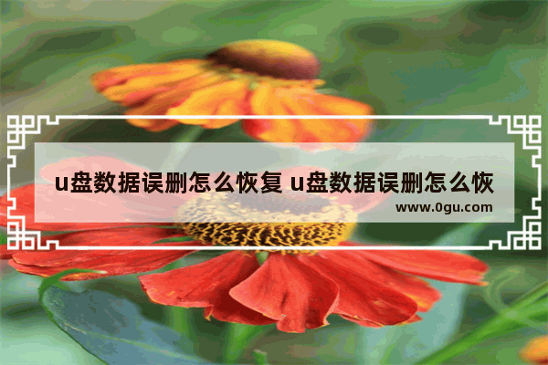 u盘数据误删怎么恢复 u盘数据误删怎么恢复正常