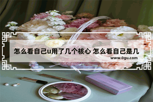 怎么看自己u用了几个核心 怎么看自己是几核cpu