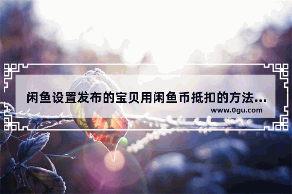 闲鱼设置发布的宝贝用闲鱼币抵扣的方法 详解
