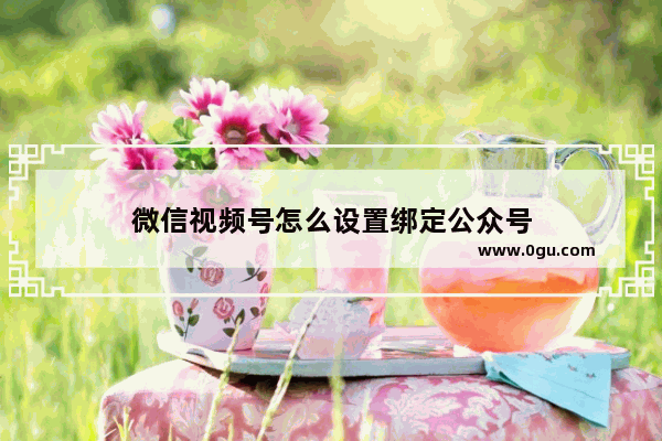 微信视频号怎么设置绑定公众号