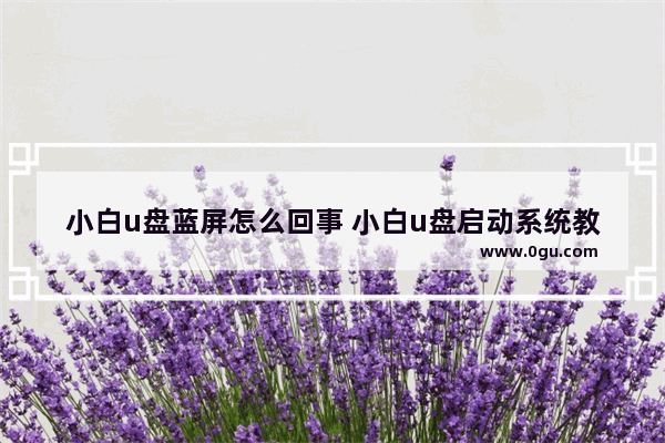 小白u盘蓝屏怎么回事 小白u盘启动系统教程步骤图