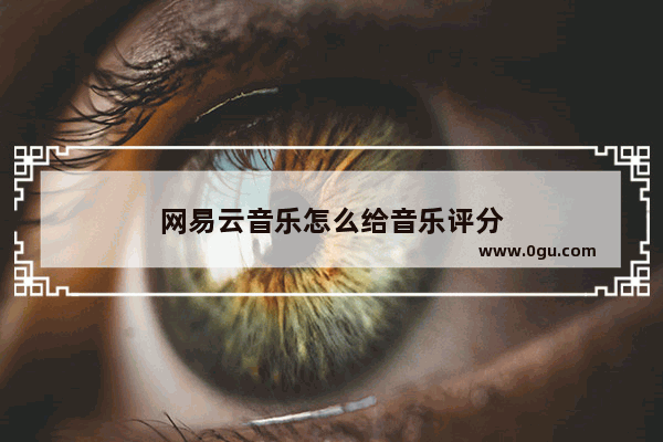 网易云音乐怎么给音乐评分