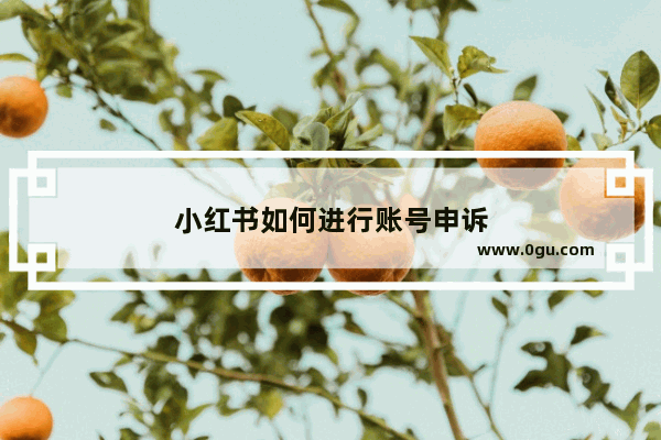 小红书如何进行账号申诉