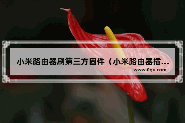 小米路由器刷第三方固件（小米路由器插件合集）