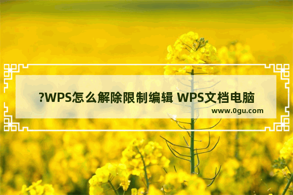 ?WPS怎么解除限制编辑 WPS文档电脑版解除限制编辑的方法教程