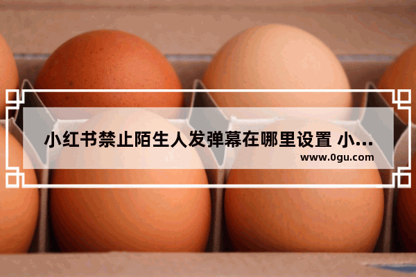 小红书禁止陌生人发弹幕在哪里设置 小红书禁止陌生人发弹幕教程