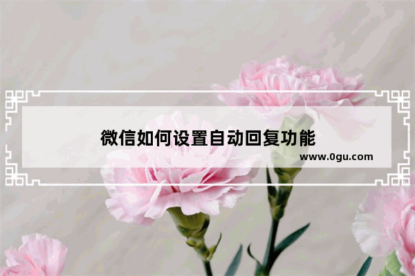 微信如何设置自动回复功能