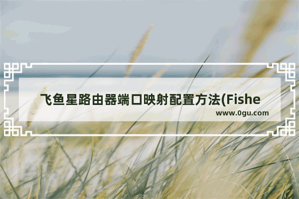 飞鱼星路由器端口映射配置方法(Fisher Paystar路由器的端口映射配置方法)