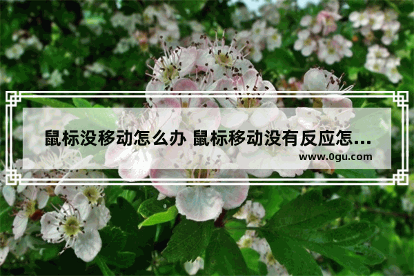 鼠标没移动怎么办 鼠标移动没有反应怎么了