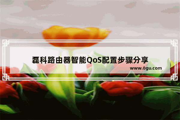 磊科路由器智能QoS配置步骤分享