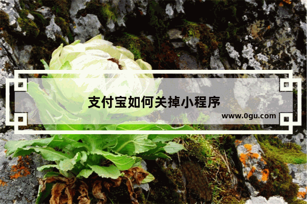 支付宝如何关掉小程序