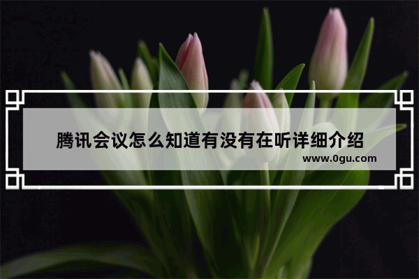 腾讯会议怎么知道有没有在听详细介绍