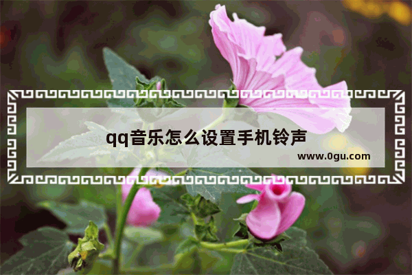 qq音乐怎么设置手机铃声